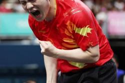 爱游戏中国-中国乒乓球队绝地反击德国乒乓球队，樊振东爆发神勇的简单介绍