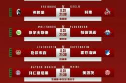 爱游戏tv-那不勒斯险胜丹麦，德利赫特关键制胜的简单介绍