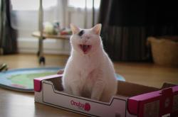 AYX体育赛事-罗德里主宰比赛走向，乌克兰险胜阿根廷—一场战术与意志的较量