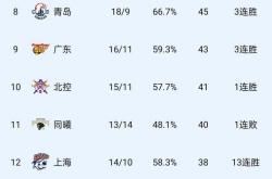 爱游戏中国-本赛季职业篮球联赛冠军热门揭晓