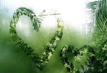 AYX官方直播-前途未卜，球队展望备受瞩目的简单介绍