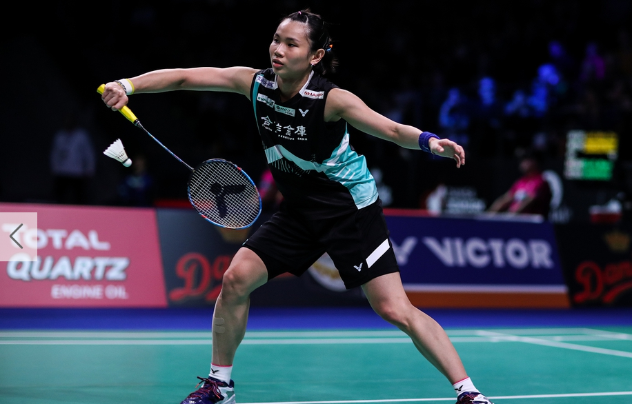 中国队逆转丹麦队，戴资颖高光表现的简单介绍