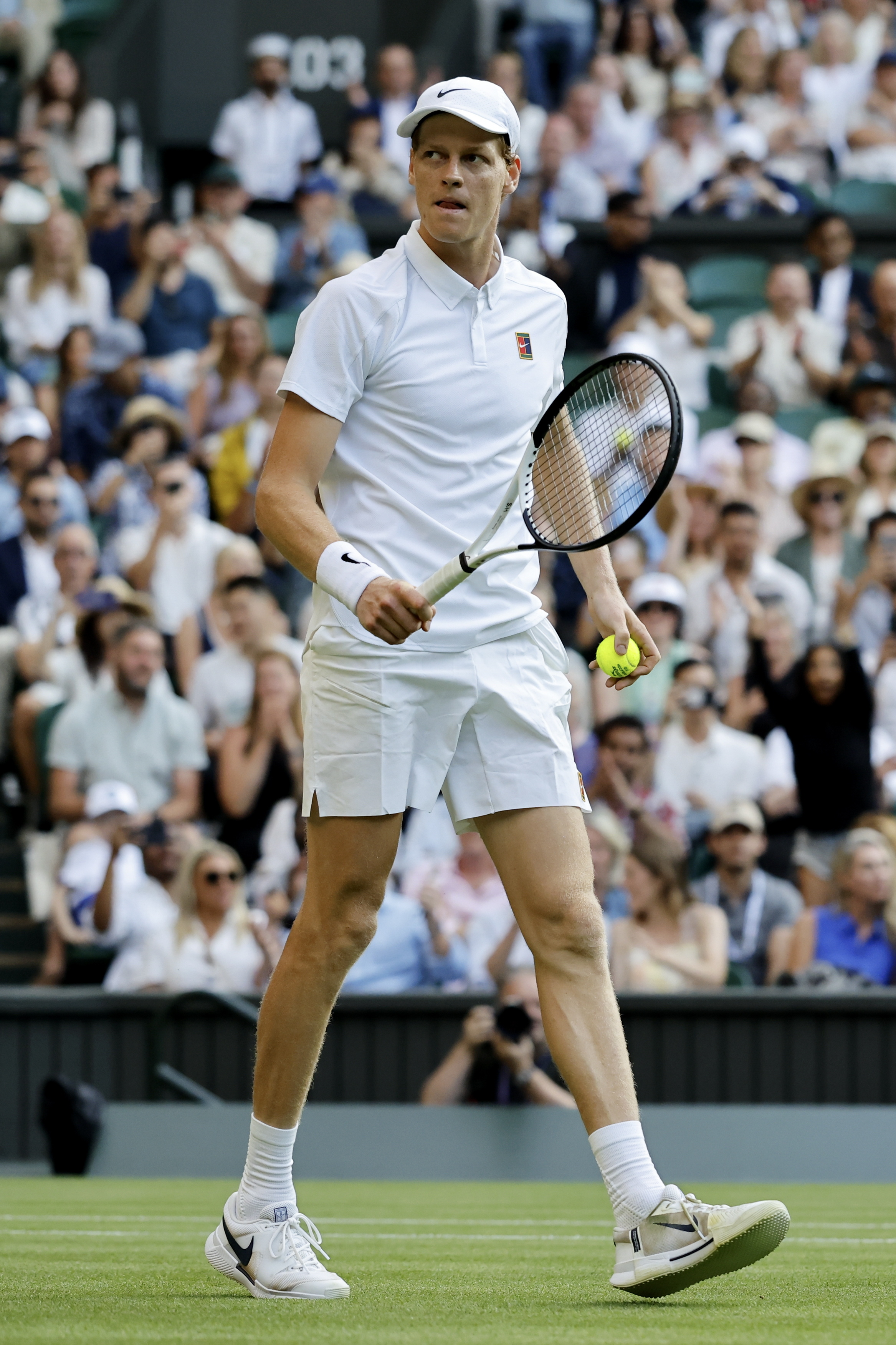 ATP总决赛完胜温网，辛纳高光表现的简单介绍