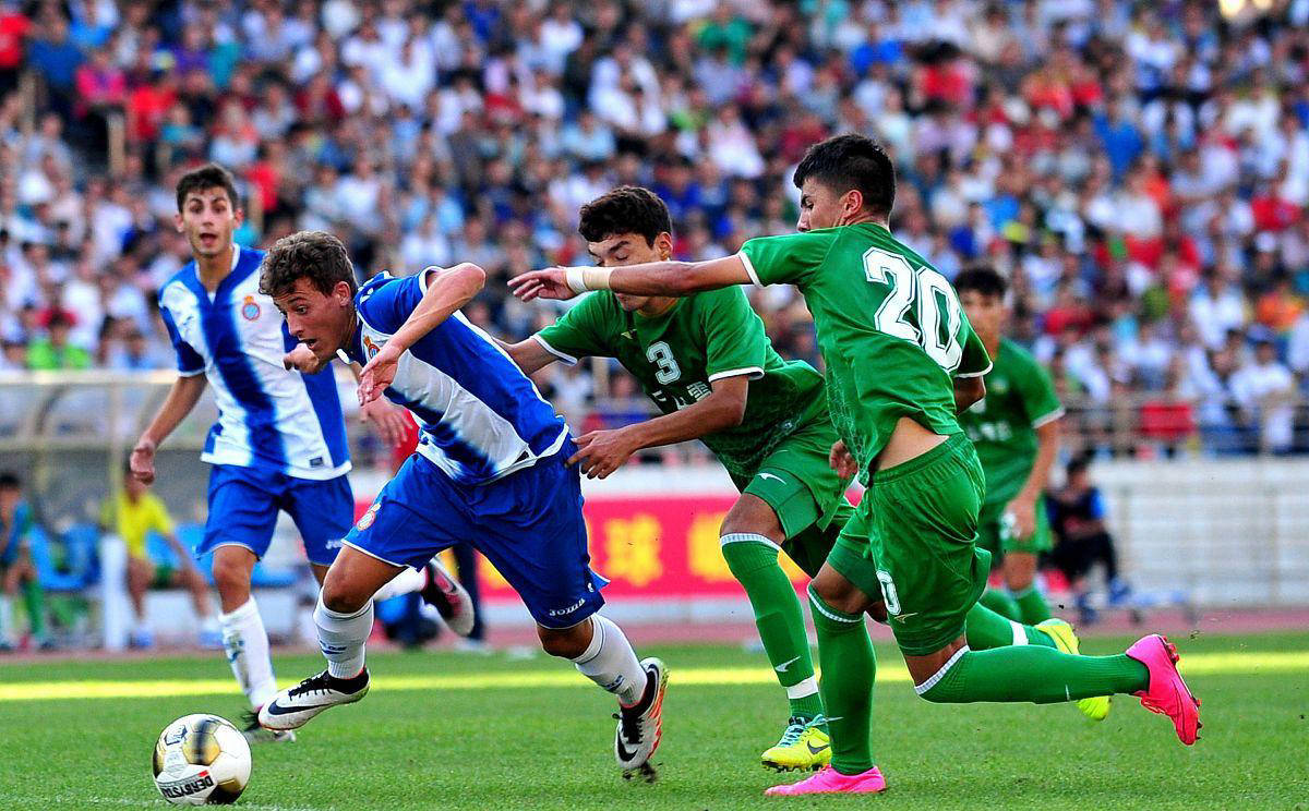 佛罗伦萨主场不敌，近期状态起伏不定的简单介绍