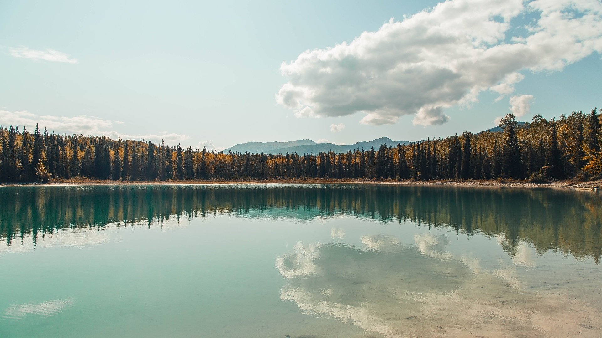 赛道与球场，利拉德接管F1揭幕战，勇士加时险胜猛龙的双重奏