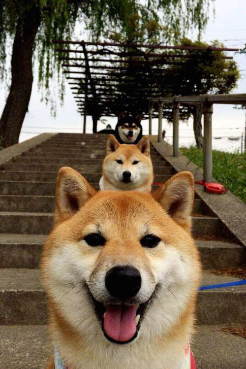 劳塔罗,当蓝黑利刃刺穿非洲雄鹰—克罗地亚与尼日利亚对决中的唯一主宰