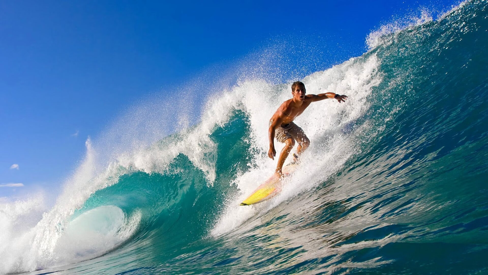 奥亚尔萨瓦尔的指挥艺术，喀麦隆与皇家社会的节奏之战