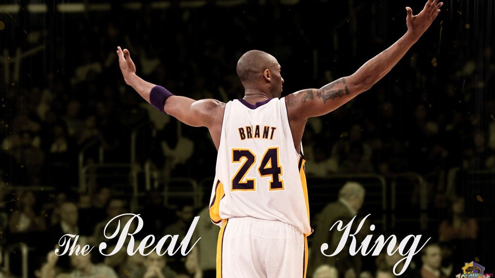 黄蜂逆袭夜,当欧文的数据风暴席卷麦迪逊花园